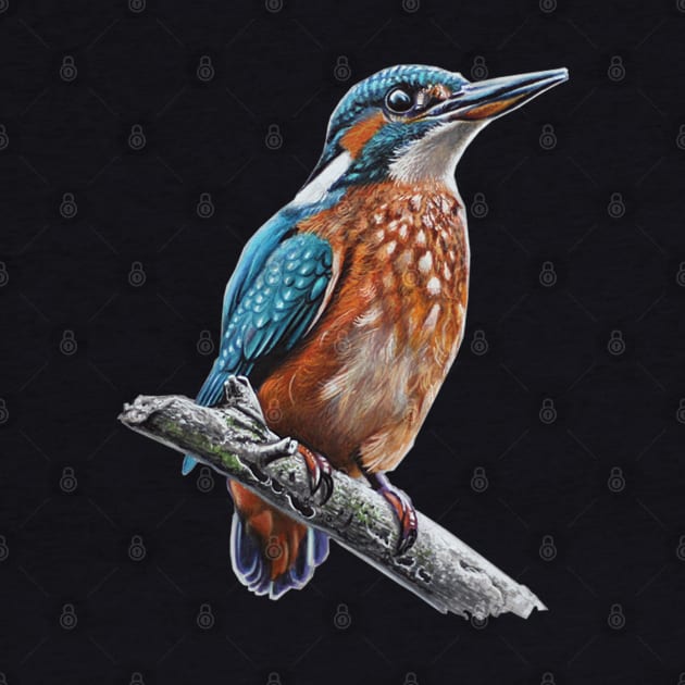 King Fisher Drawing by cristianvan